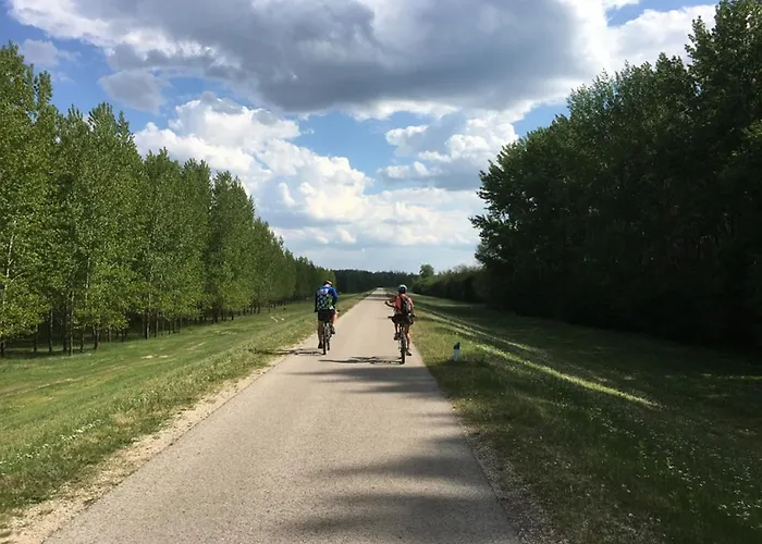 Volenter Lux Zero Apartament