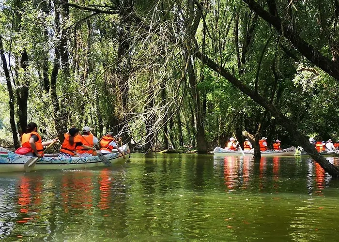 Apartament Volenter Lux Zero Baja