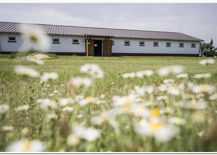 Apartament Volenter Lux Zero *