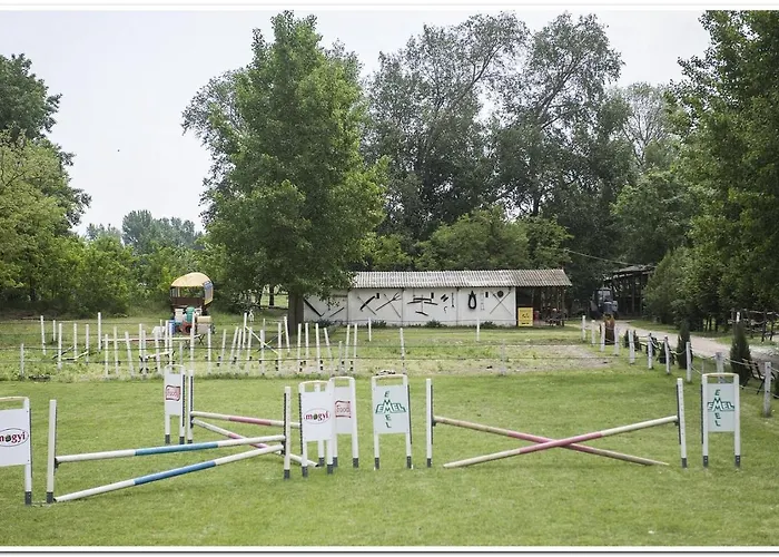 Volenter Lux Zero Baja