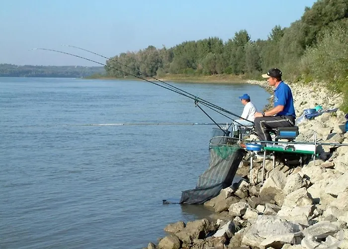 Volenter Lux Zero * Baja