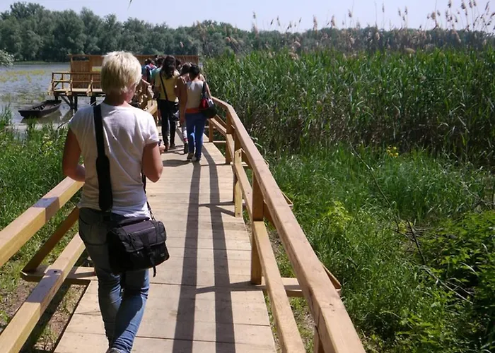 Volenter Lux Zero * Baja