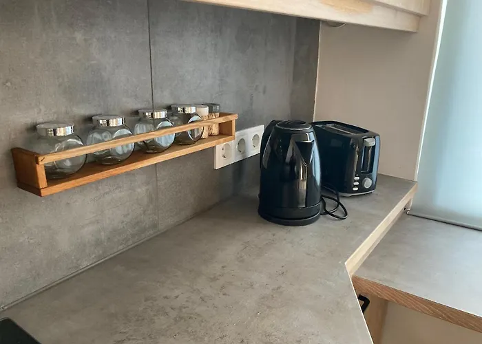 Volenter Lux Zero Apartment *